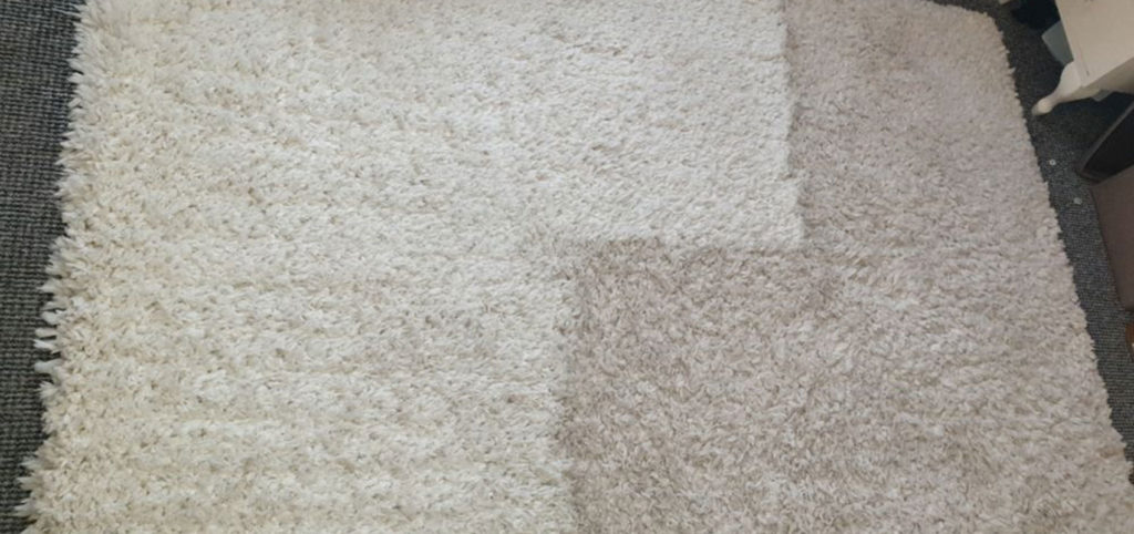 affordable carpet cleaning