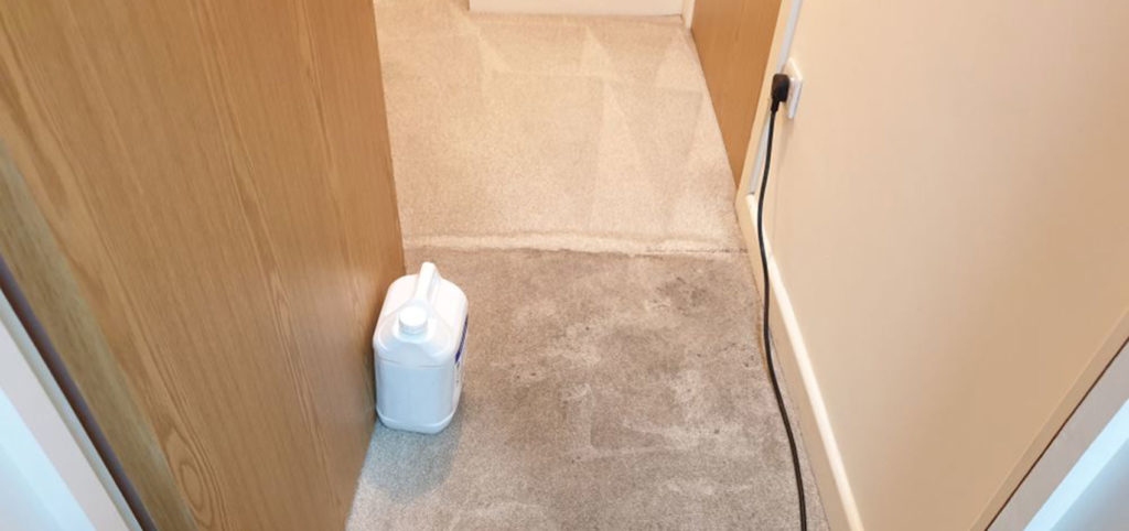 end of tenancy carpet cleaning