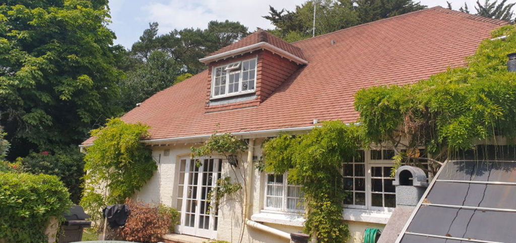 roof cleaning